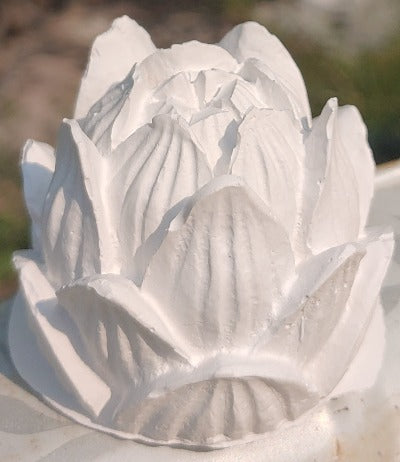 Lotus Figure